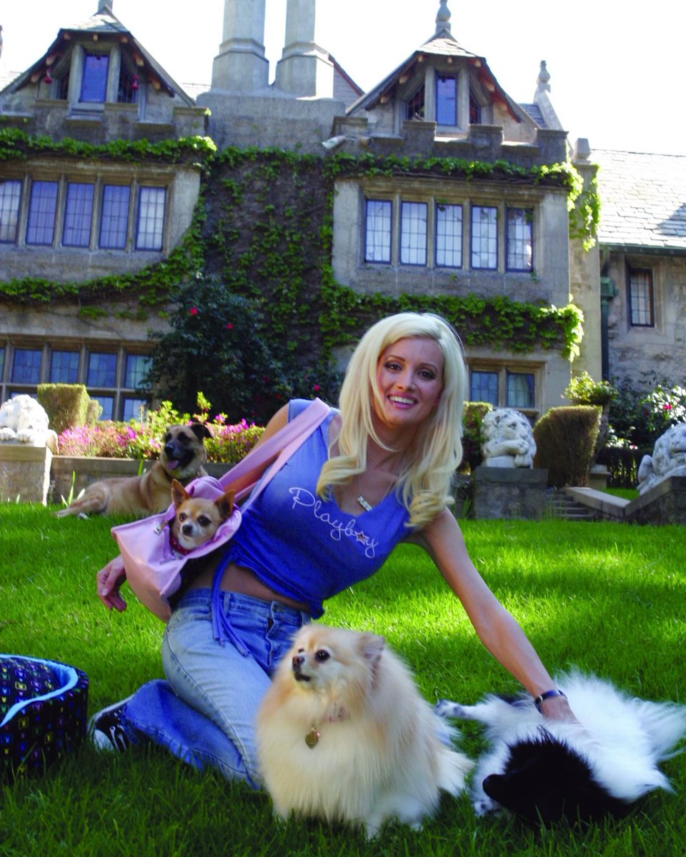 YuliIOrellana's tweet photo. Photo shared by alyssa on August 10, 2026, tagging @playboy and @hollymadison. May include people, blonde hair, a Persian cat, Maltese, Pekingese, and text. https://t.co/fzdg2jv19Y