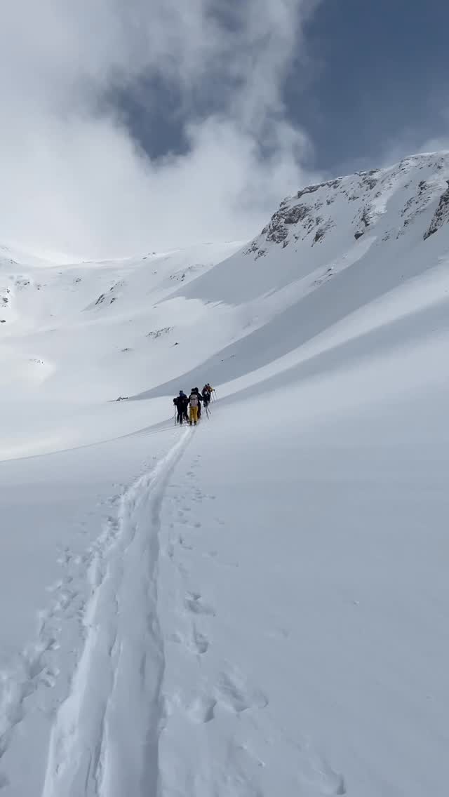 PiadasSousa's tweet photo. Moving. Loving. Riding. 🩵🎿👯♀️
#skitouring #mountainaddict #lovemountains #outdoors #berge https://t.co/MHFHqUcHzL