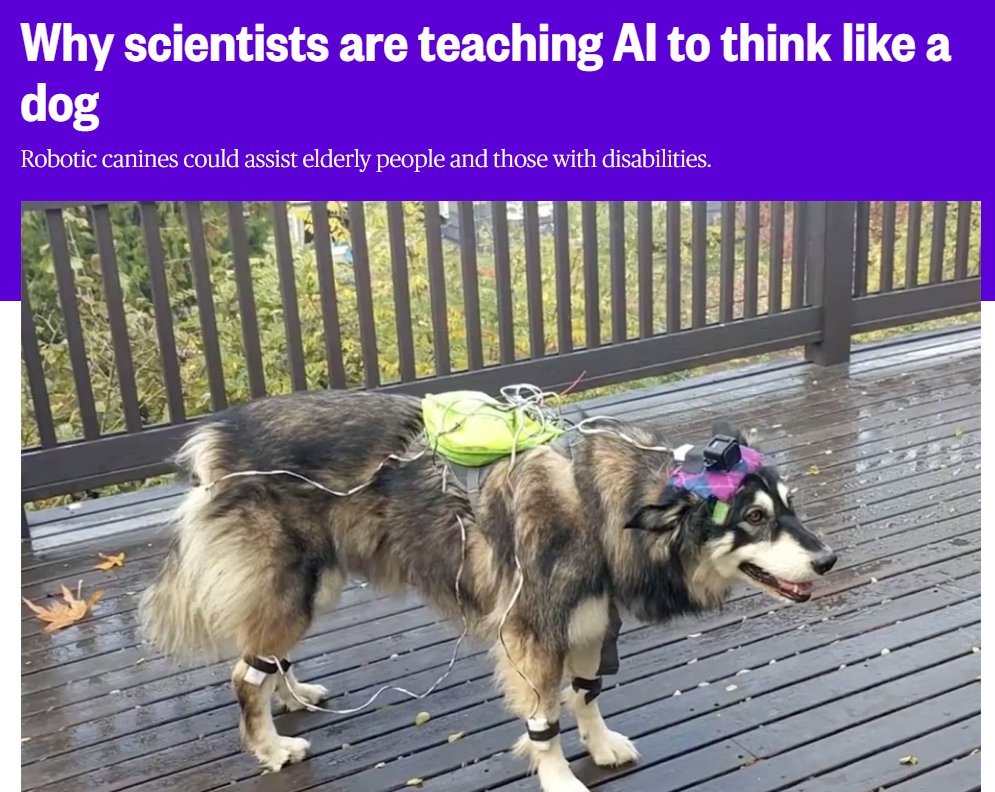 Tuffdevonchain's tweet photo. THIS IS LITERALLY THE REAL LIFE ARTIFICIAL INU

Nvidia used a dog named "Kelp" in 2018 to train ai to behave and think like a REAL dog

isnt this genny??

https://t.co/1CmFNlU5Vn

https://t.co/CT1BwMaa7K https://t.co/FT3l8lCpBg