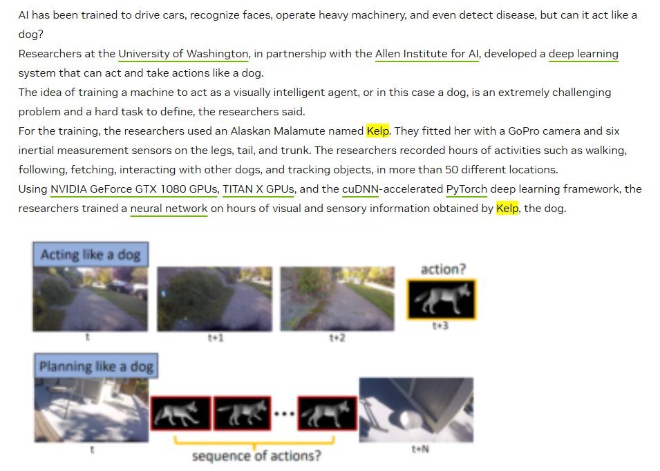 Tuffdevonchain's tweet photo. THIS IS LITERALLY THE REAL LIFE ARTIFICIAL INU

Nvidia used a dog named "Kelp" in 2018 to train ai to behave and think like a REAL dog

isnt this genny??

https://t.co/1CmFNlU5Vn

https://t.co/CT1BwMaa7K https://t.co/FT3l8lCpBg