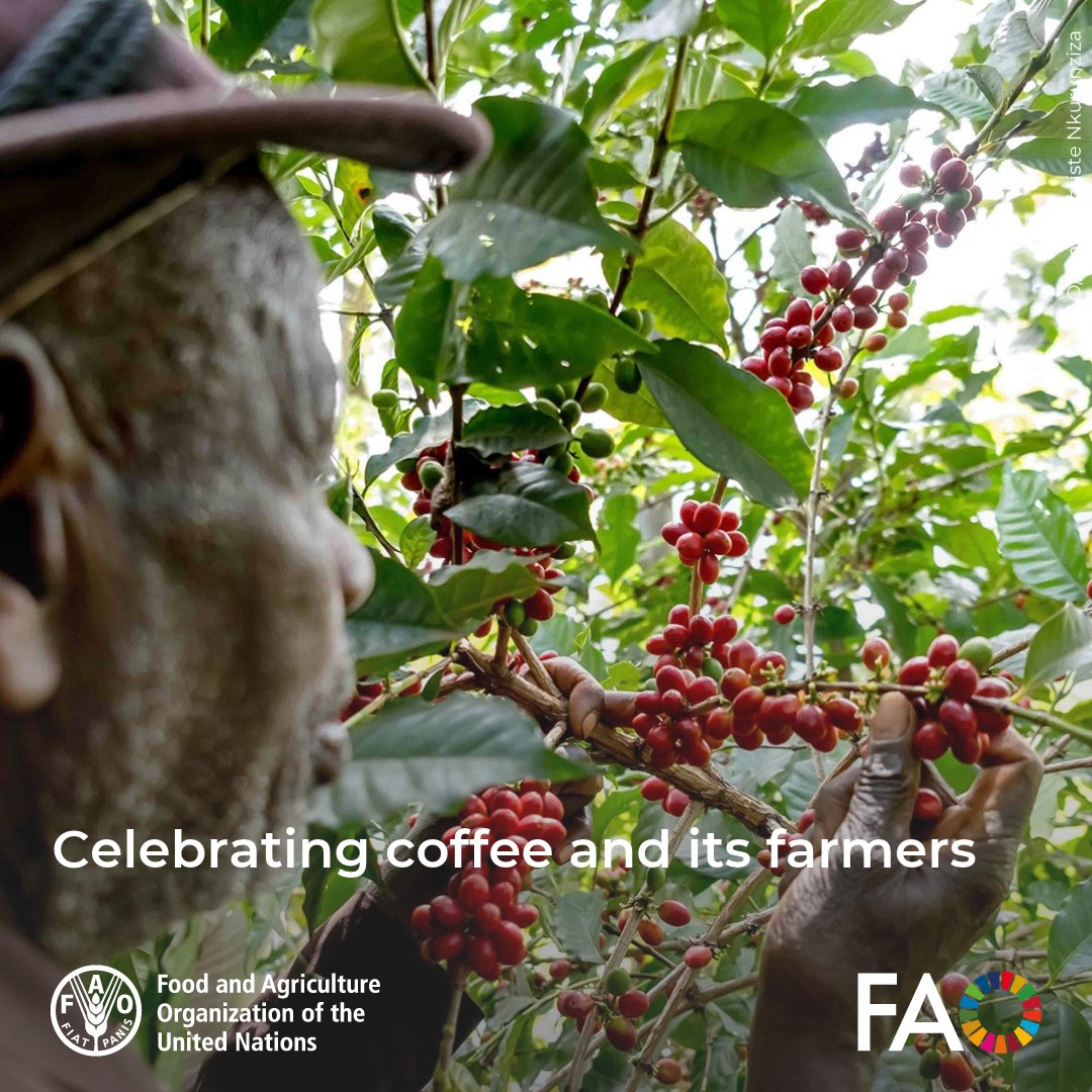 FAOKnowledge tweet picture