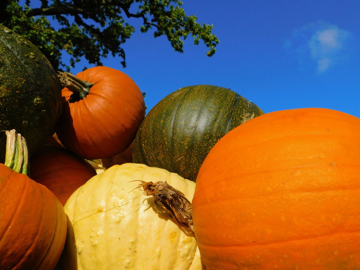 IanW1985's tweet photo. Celebrating #Lincolnshireday  and #Autumn🌄🍂🍁
@peter_levy @kerriegosneyTV @Hudsonweather https://t.co/IU1HlxKnr3