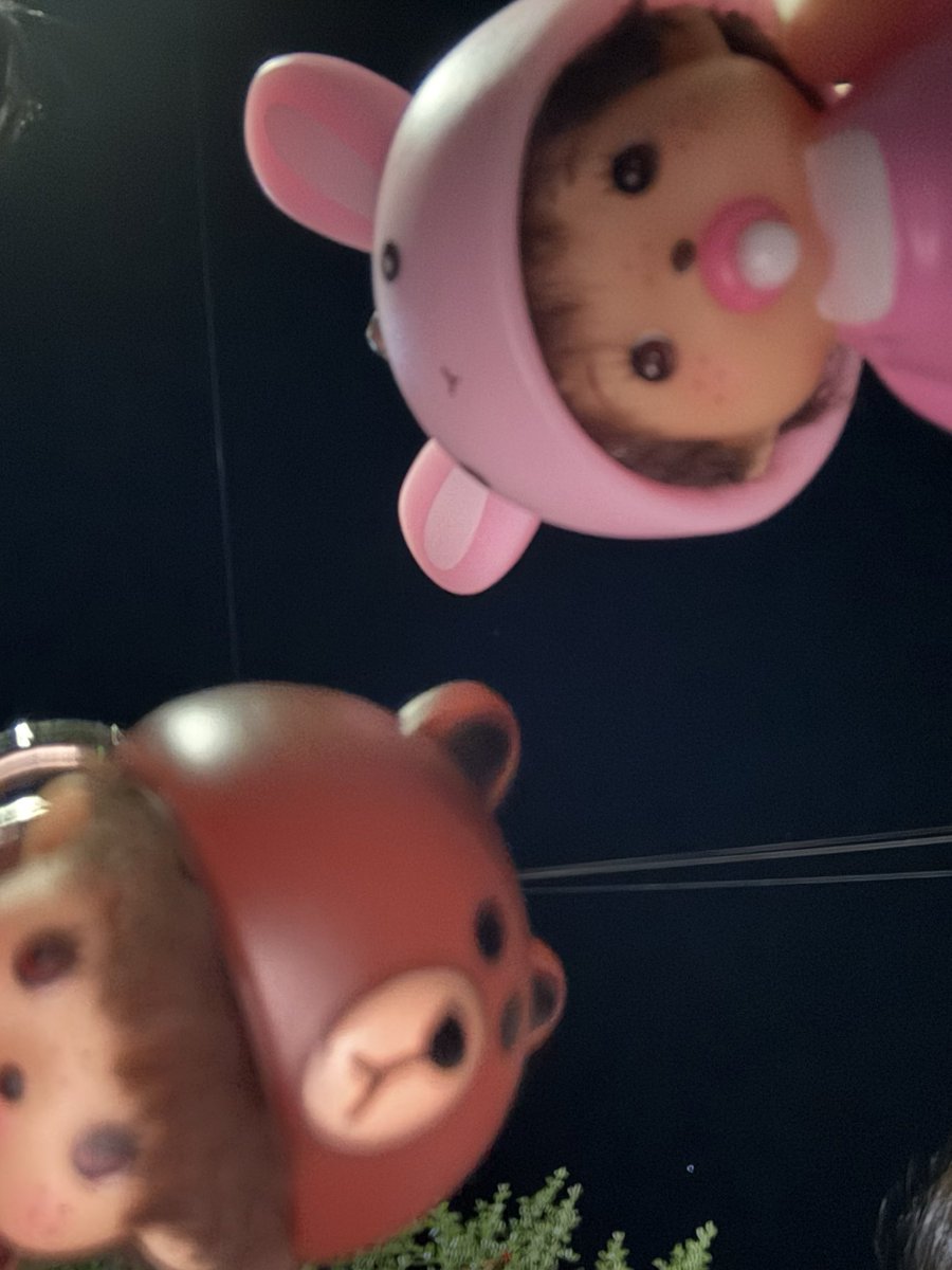 imkittyii's tweet photo. 오늘의 고���한 소비⋆ ˚｡⋆୨☆୧⋆ ˚｡⋆ https://t.co/XZpngFgnDX