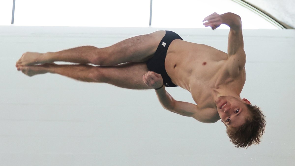 BinghamtonSWIM's tweet photo. Great job by all of our divers last week at the Hannah Gibbons Invitational!
#ONECityOneBing #AESD https://t.co/A5P8JzEPN6