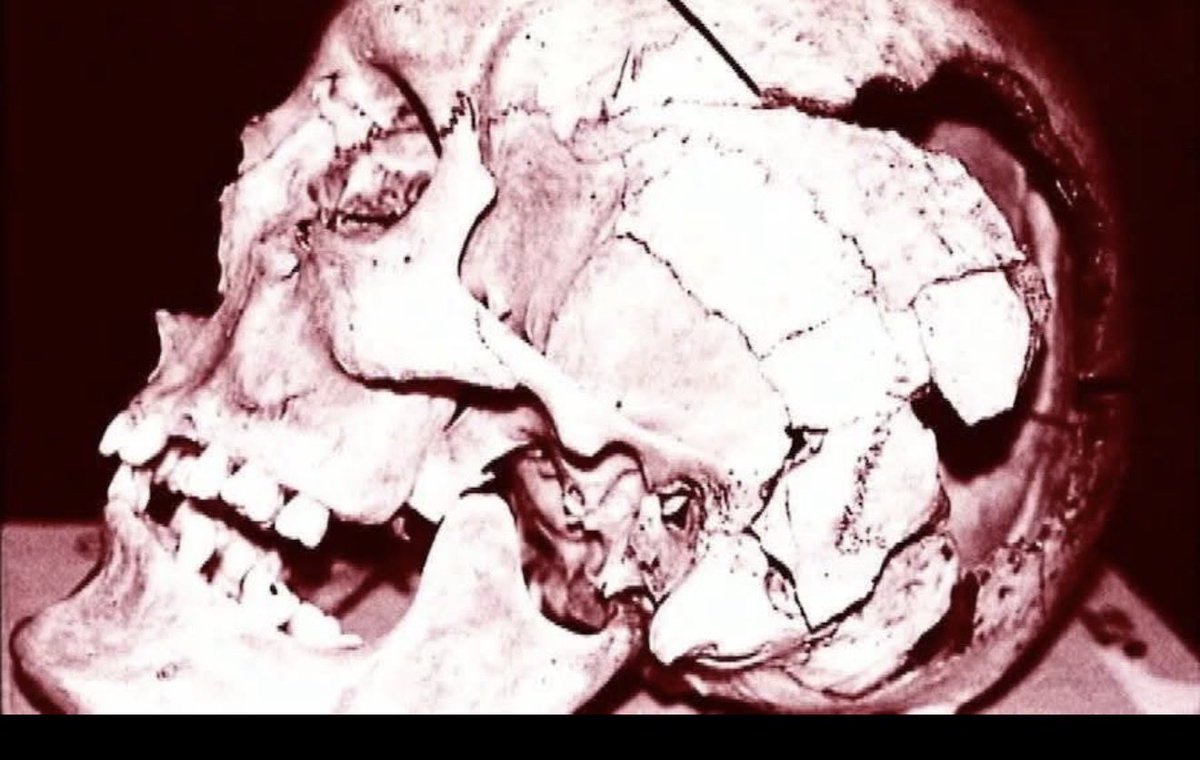 Cr7Godbrand's tweet photo. Woman fuck 7 guys, regret it, you blame the men.

Lindsay murdered 3 kids. You blame the husband.

This lady murdered another woman, broke her skull, took part of her skull home and kept it as a trophy. Who did you blame? Men.

And y'all wonder why women were burned as witches in the past. If what you said isn't the definition of witchcraft, then I don't know what else to call it. You are sick.