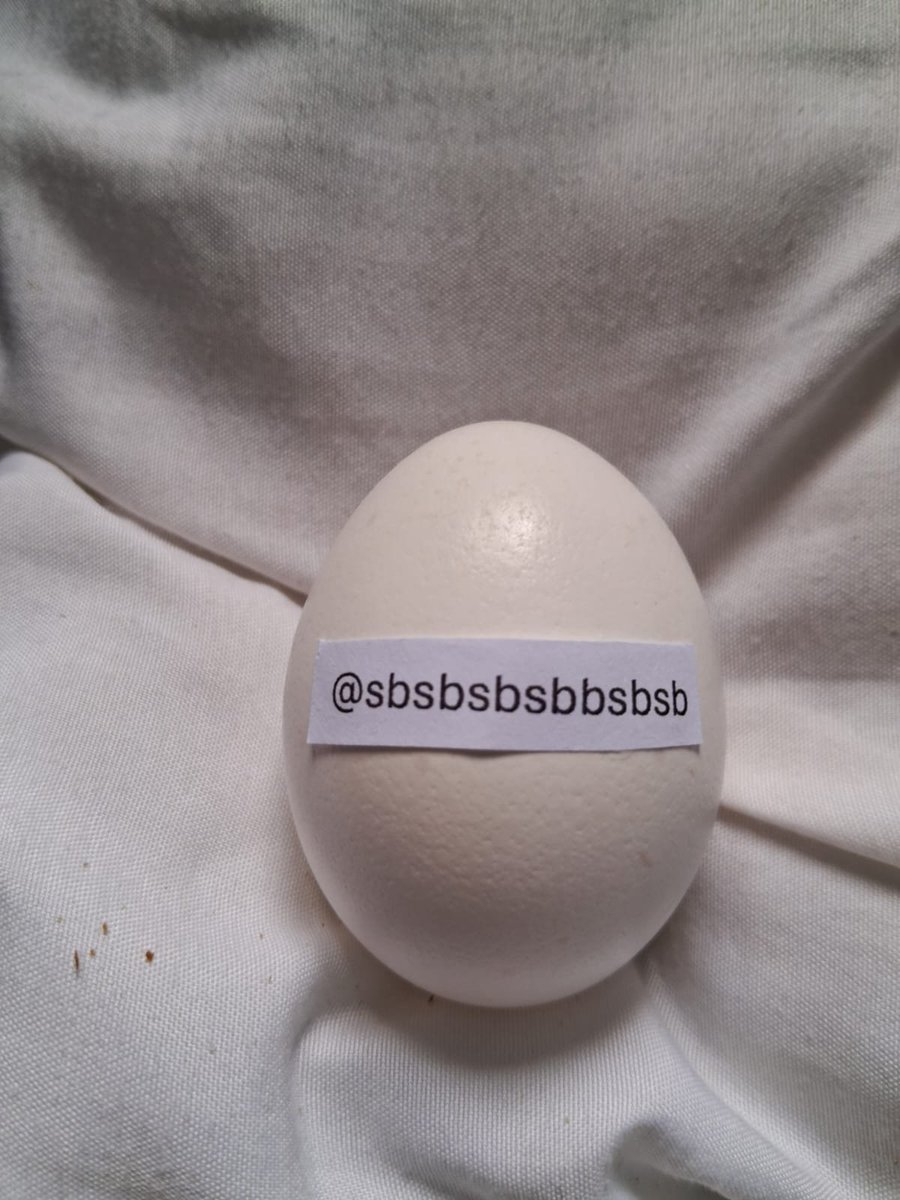 Usuovo's tweet photo. @sbsbsbsbbsbsb thanks for the follow! https://t.co/NQh8XvXbZ9