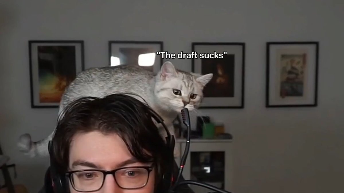 A man wearing glasses and a headset has a tabby cat perched on his head, with the caption 'The draft sucks' overlaid on the image.