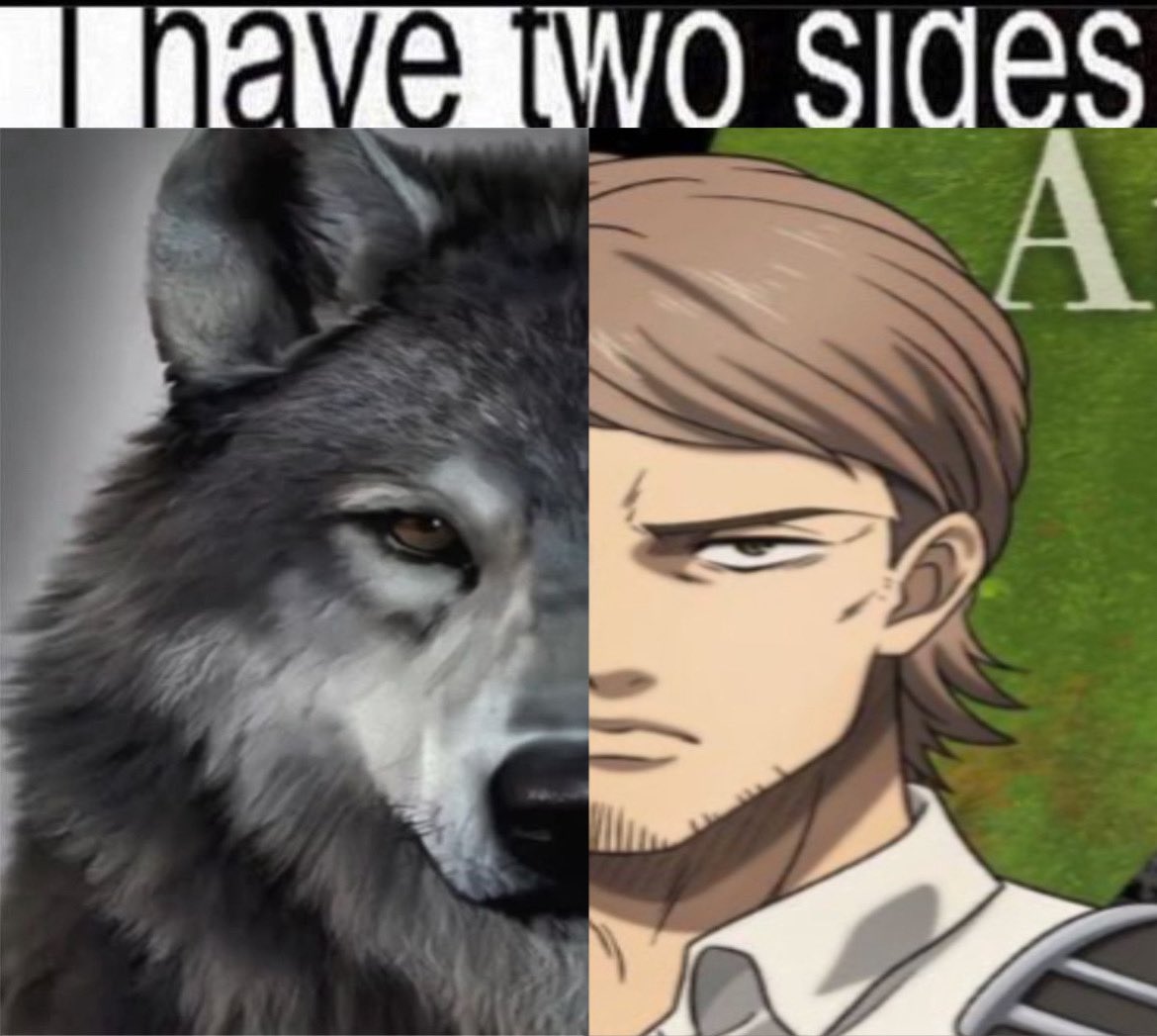 acervokirstein's tweet photo. https://t.co/BWBEaUXUr9
