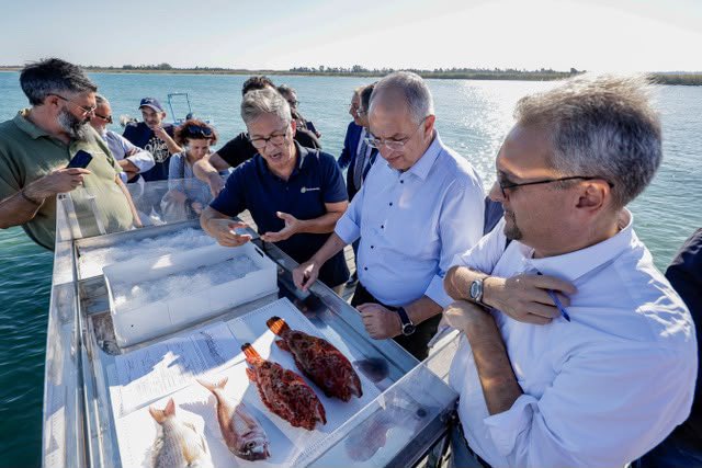 CostasKadis's tweet photo. At Marine Protected Area (MPA) Torre Guaceto, marine protection and small-scale fishing go hand in hand.

The key is co-management: fishers, scientists, MPA managers and public authorities shaping the rules together and sharing responsibility for healthy seas.

By helping protect marine resources, the small-scale fishers authorised to fish in the MPA also safeguard the livelihoods that depend on them. Their knowledge and involvement are essential to making protection work.

Stronger biodiversity. More resilient fisheries. A future built together.

This is a model Europe can learn from.
