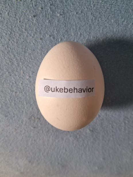 Usuovo's tweet photo. @ukebehavior thanks for the follow! https://t.co/JT2uhWgYqa