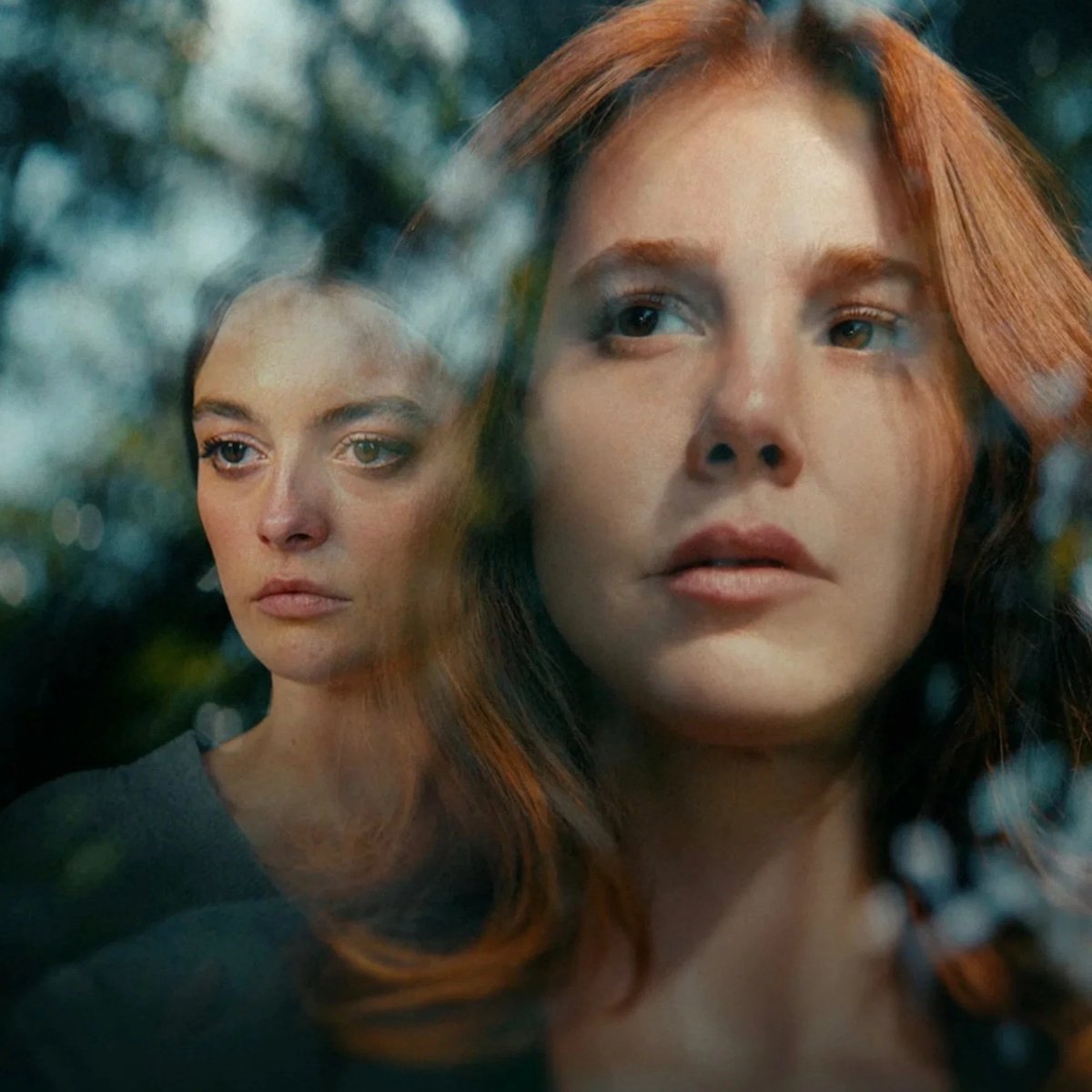 PopFestTR's tweet photo. Seni Tanıyorum, izlenme sayısını %111 artırarak Netflix'te ikinci haftasında en çok izlenen Türk dizisi oldu.

ABD ve Kanada'da #3'e, Birleşik Krallık ve Avustralya'da ise #4'e kadar yükseldi. https://t.co/thgWkD3frB