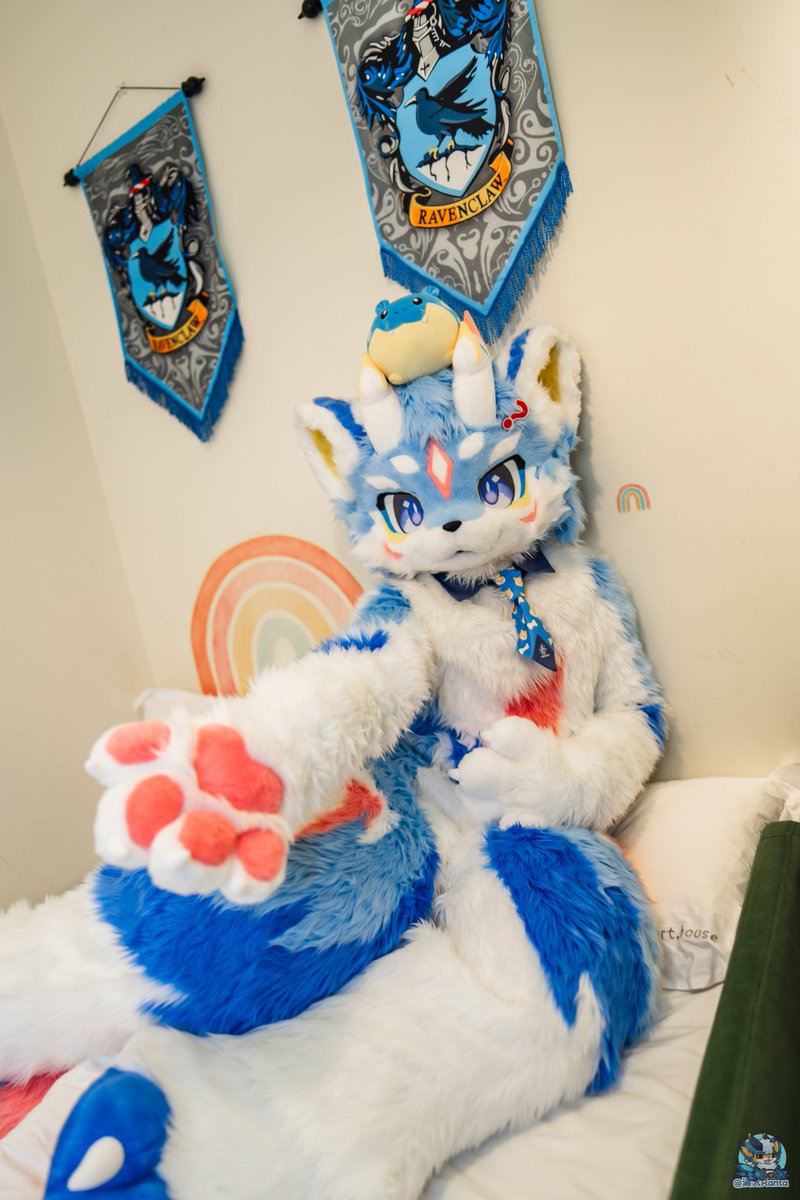 FurryFrostSugar's tweet photo. 【毛五FursuitFriday】
It's my pleasure to serve you~
#Furmony #Furry #Fursuit #可爱 #鸿萌造物 #兽装 https://t.co/pVkl9YAggx