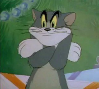 TomCatFan124's tweet photo. I'm Sailor Tommy Boy 

The Meanest Cat At All Time!!!! 😡😡

After Sailor-V Blocked me and I tried to stop her, all channels are terminated because of her, since devoid has arrested, then, I've causing drama 
Both channels got terminated 
You guys are Blocked me, morons! 😡😡😡😡 https://t.co/ngWiP1651W