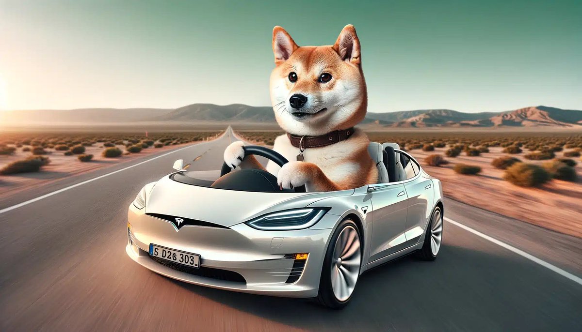 tesla_FSD_fun's tweet photo. @PumpfunEco me going into Q4 https://t.co/WVqzcajda8