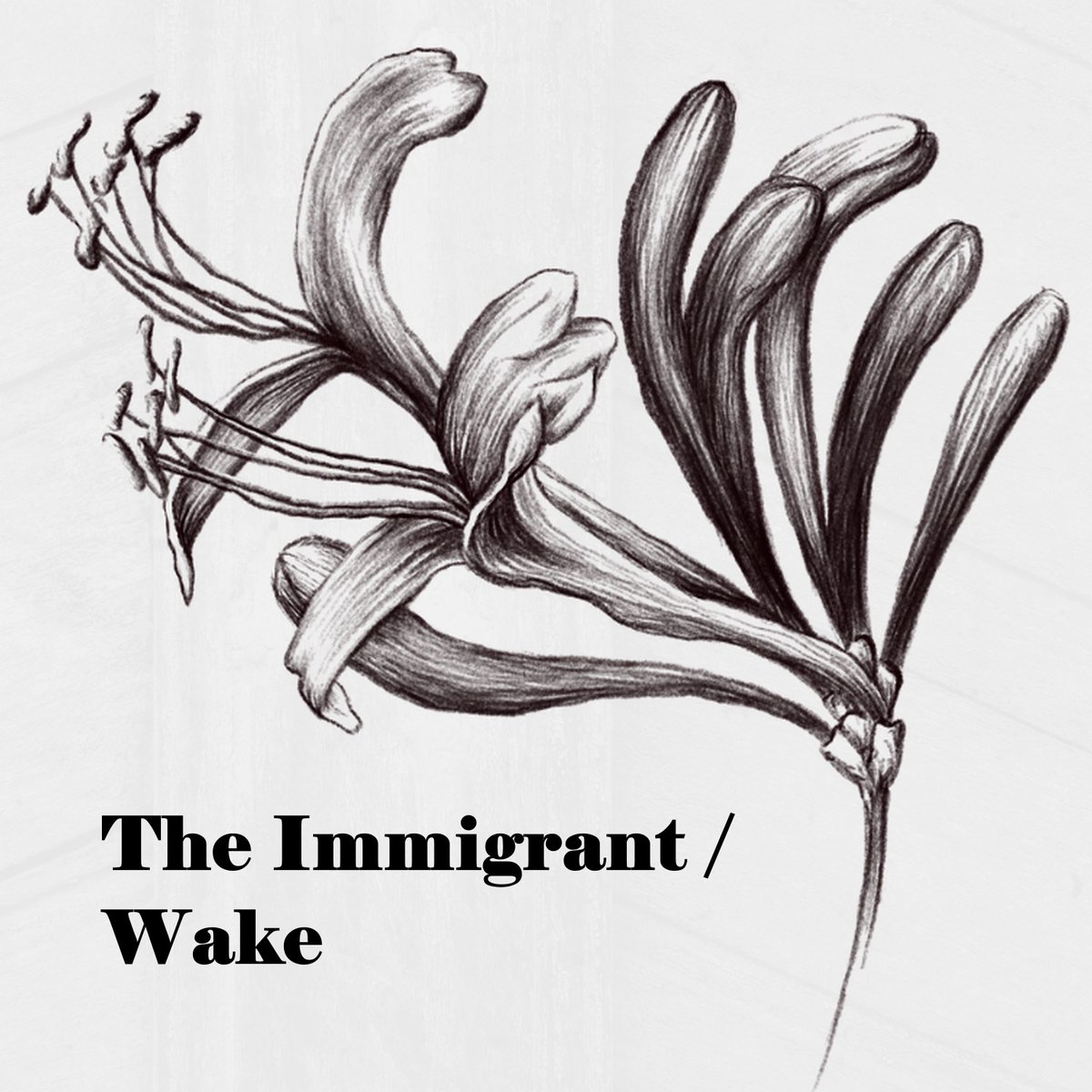 thefamilygrave's tweet photo. It's Bandcamp Friday tomorrow so why not treat yourself to some gorgeous 7" lathe-cut vinyl 🤔 
Two songs telling migrant stories from @jonmhopper and @thefamilygrave 
- only available here 
https://t.co/cXQYjB0vLf https://t.co/aoRpgp1Qc7