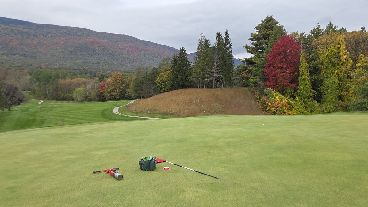 JSutton_turf's tweet photo. Great year for leaf peppers, just need some sun! https://t.co/xZscPqSquc