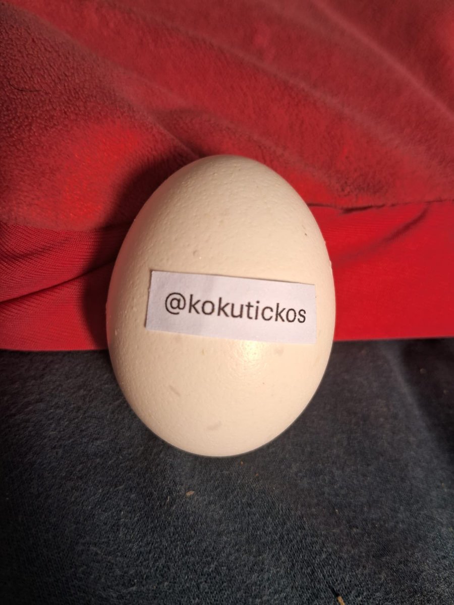 Usuovo's tweet photo. @kokutickos thanks for the follow! https://t.co/J0l4Agevj5