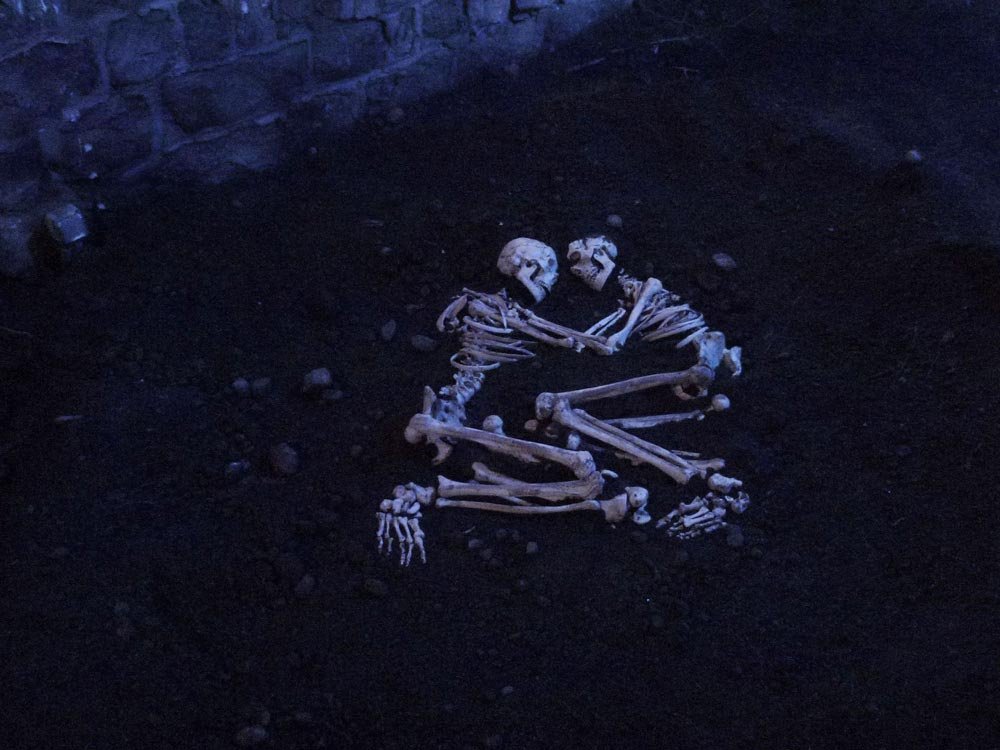 Pickaxe84199830's tweet photo. #VisualArt #photographer
Laurent Pernot, b. 1980 - France
We will sleep together, 2012
Dirt, grass, two resin skeletons, light projection, nocturnal light bulb @Neutralious https://t.co/PXPVjyz3b7