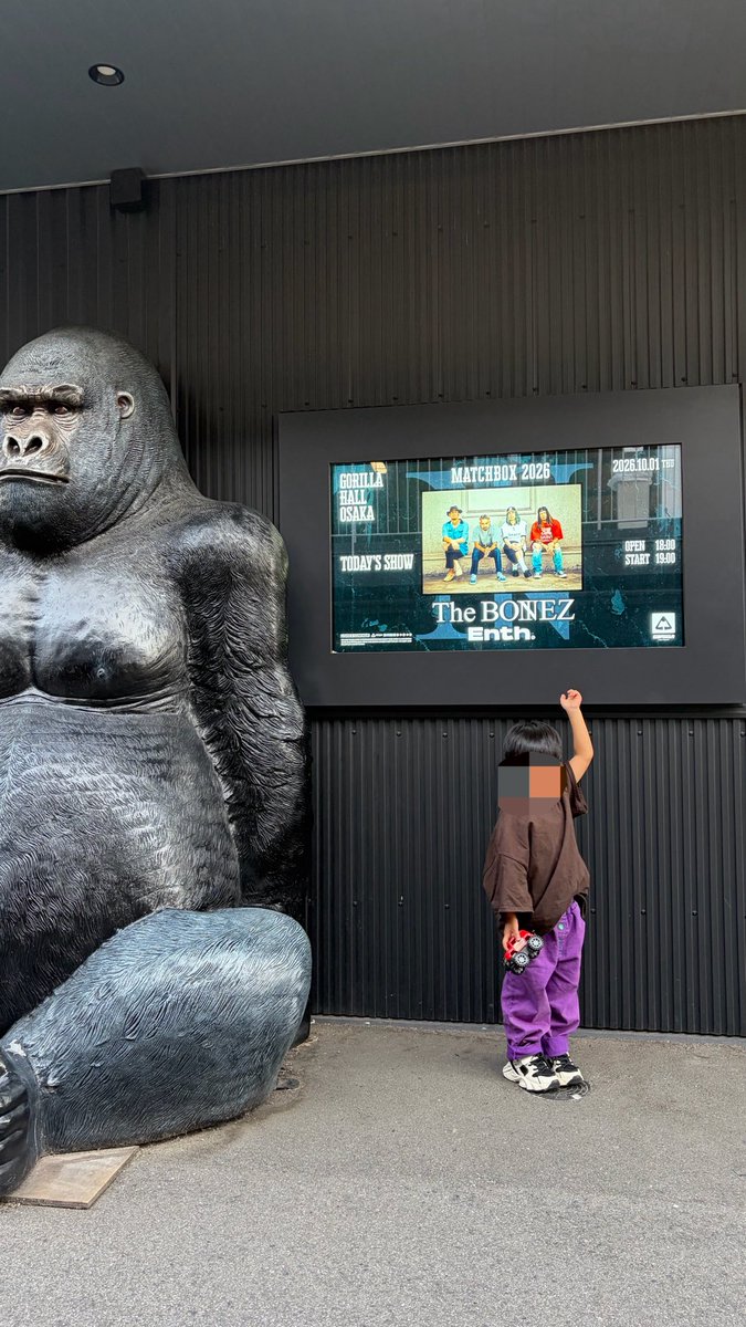 likeuver__2001's tweet photo. The BONEZ MATCHBOX2026
GORILLA HALL OSAKA / ENTH
JESSEおかえりー✨
ボーンズもエンスも最高だった〜！
他のキッズ！特にお兄ちゃんたちずっと遊んでくれて息子大喜び大はしゃぎで最後眠そうだった笑
息子はずっとお兄ちゃん探して忙しそうだった😂
ボーンズは0歳から‼️また行こうね❤️‍🔥
#TheBONEZ https://t.co/V0gQD8UF4n