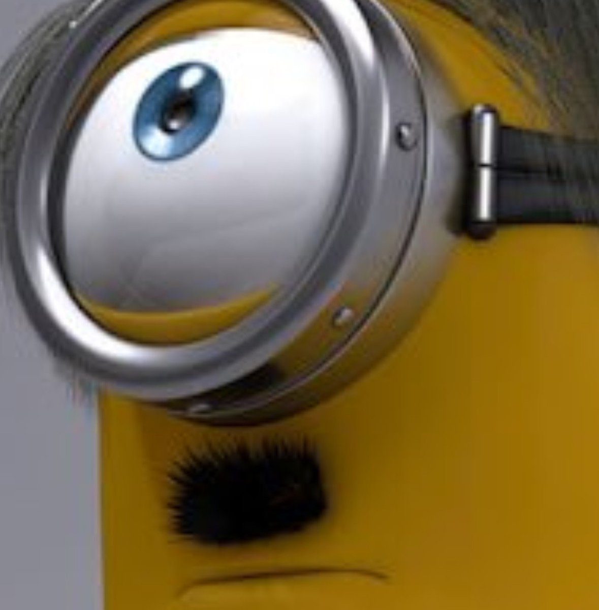 mauromdeo's tweet photo. @minions7u7 Lo lograste. Ahora respondeles con este https://t.co/JLeLIo0lOH