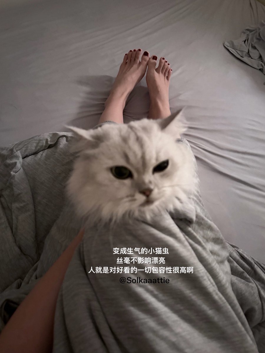 Solkaaattie's tweet photo. 再漂亮的小猫睡前也要用清洁口喷哦 https://t.co/mdl0G69aqs