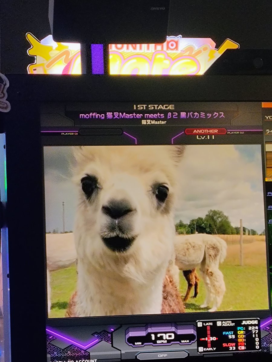 WIPPY_UYA's tweet photo. @riyumani_g 友達プレー中…
何これぇーーーー。もうわけがわかんね。
もうTHE SAFARIも実写にしろよw https://t.co/E8zI9VuQSN
