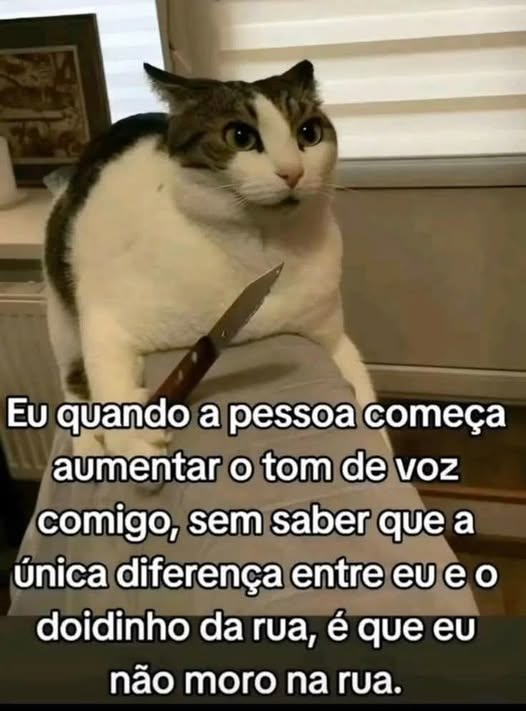 pedrogobett's tweet photo. https://t.co/rtxH79jxWn