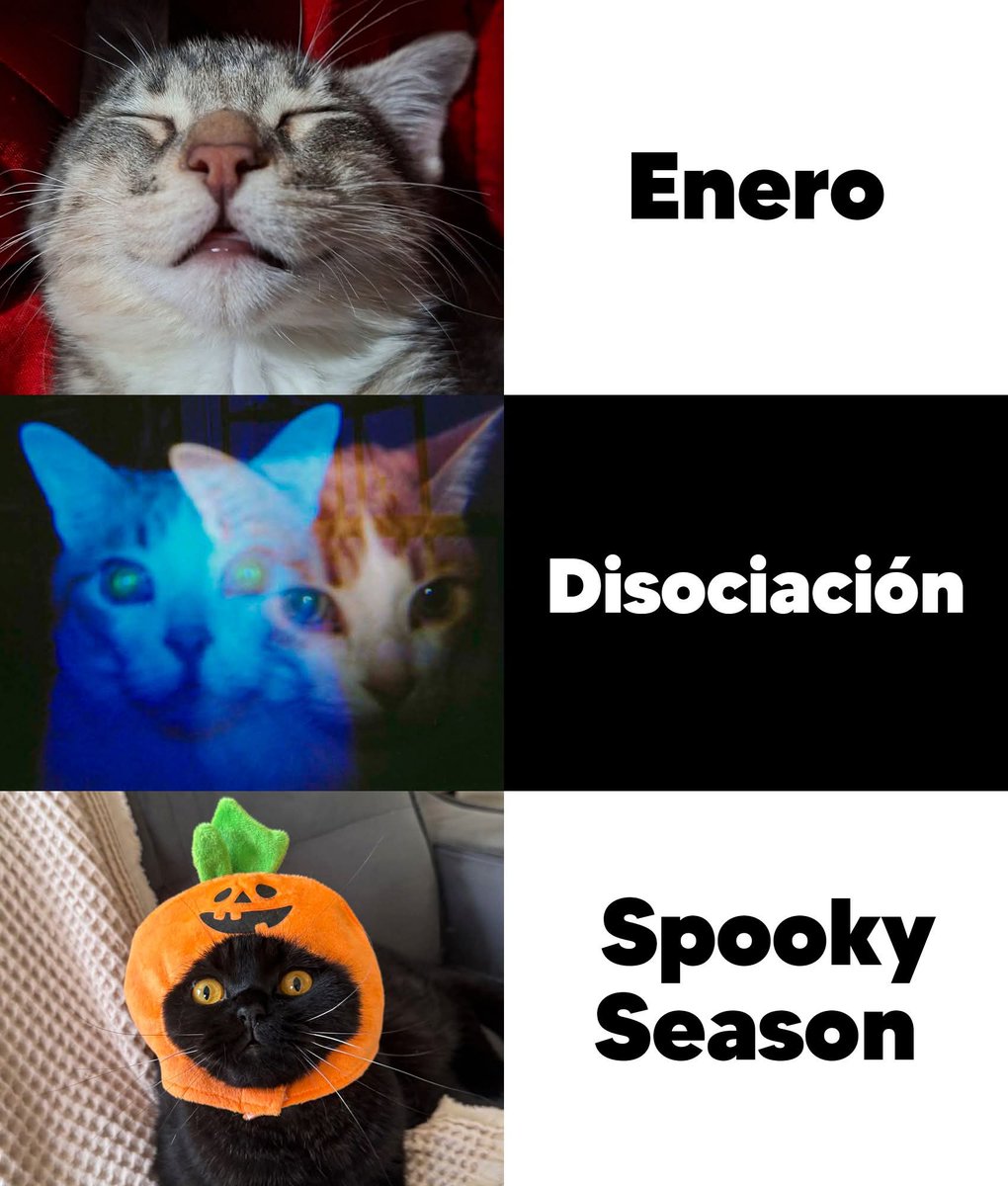 En_jupiter_'s tweet photo. 🎃 https://t.co/d77G6K83JA