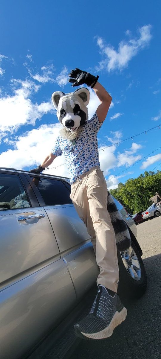robert_raccoon's tweet photo. Happy international raccoon day! And #fursuitFriday https://t.co/KlVpcj7HIz