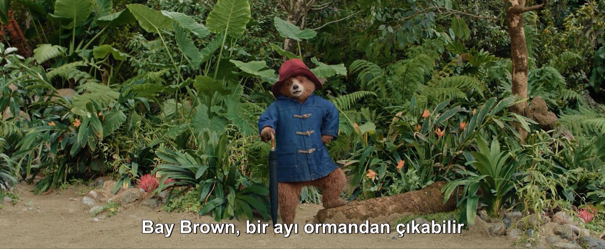 oneofego's tweet photo. 🐻🌱🍊 https://t.co/nbYUTKW0Qk