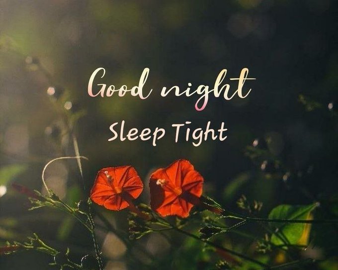 An image with red flowers in a field features the text "Good night" and "Sleep Tight" in elegant script.