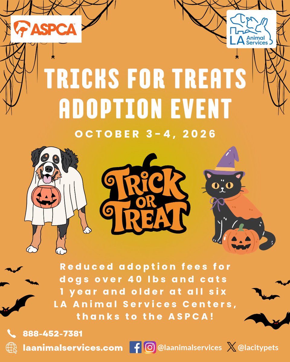 LACityPets's tweet photo. Join us this weekend during the Tricks For Treats adoption event, happening at all six LA Animal Services Centers, thanks to the @ASPCA! 🎃 #LACityPets #Adopt #LosAngeles #TricksForTreats https://t.co/PX9rD9JxDV