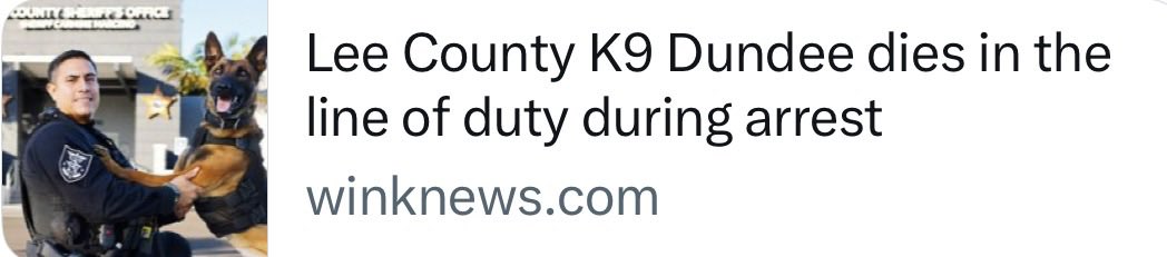 _AshleyMooody's tweet photo. This heartbreaking loss is exactly why I’m fighting to pass the LEO K9 Protection Act. 

These brave K9s put their lives on the line to protect us. We must protect them, too.

Praying for Dundee’s handler, Deputy Chala, and the entire SheriffLeeFL family. https://t.co/OsktYqErN2