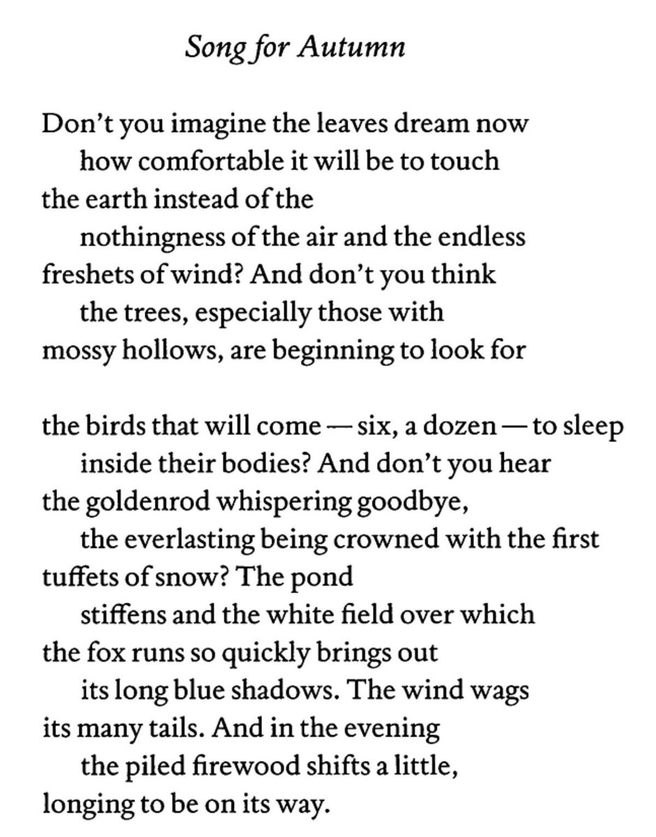 onlypoemsmag's tweet photo. Mary Oliver 🍂 https://t.co/rBTWOPCgv3