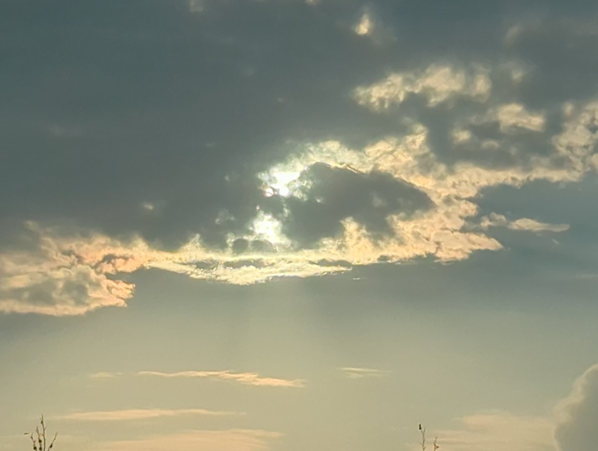 skill_artur's tweet photo. A few moments of the golden hour on the way home)
Isn't that so beautiful https://t.co/HDQrXbkWUT