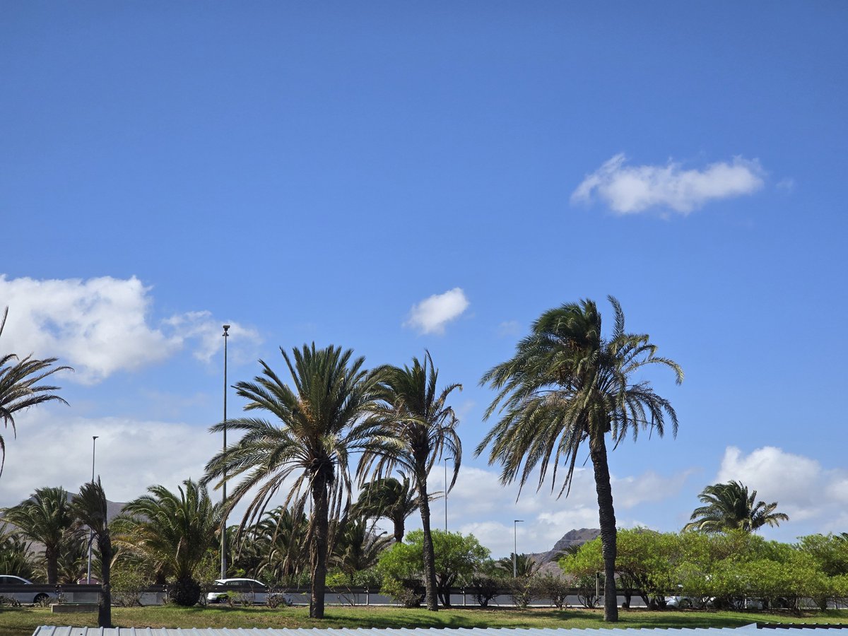 sqlyj's tweet photo. Maspalomas, here I come!
#maspalomas #grancanaria #gay https://t.co/bs45hSiMSH