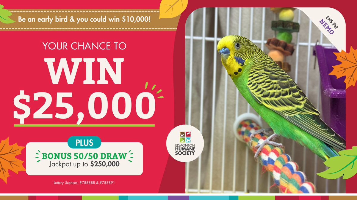 EdmontonHumane's tweet photo. We're less than 1 week away from our Fall Lottery &amp; 50/50 Early Bird deadline 🐦

Don't miss out on your chance to take home the $10K Early Bird Prize! Purchase your tickets before 11:59 p.m. on Oct. 7 to be entered to win.

💸 Buy your tickets today! https://t.co/LrSo63LpcP https://t.co/LRSxfZXmBr