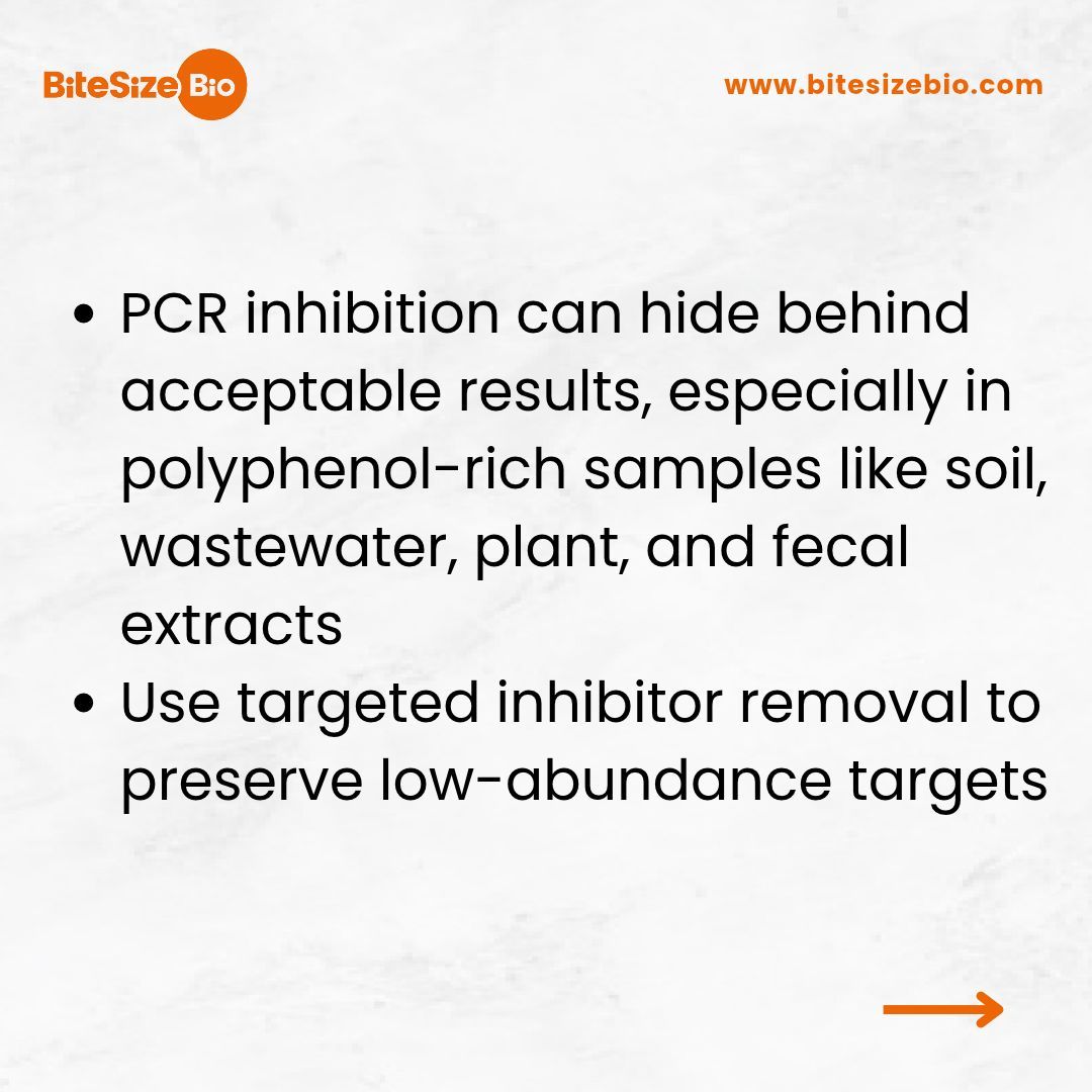 BitesizeBio's tweet photo. Your NanoDrop results may look fine while PCR inhibitors are still suppressing amplification. Learn why polyphenols can escape standard QC and how to check whether your eluate is genuinely PCR-ready. Read now → https://t.co/24Gtf5p0Yq #qPCR #PCRInhibition #NanoDrop https://t.co/Jn3H1RkhtK