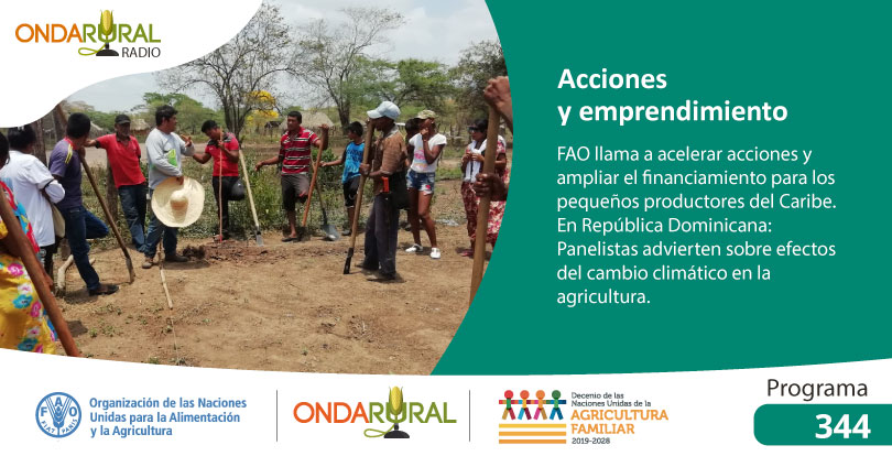 ondarural's tweet photo. Al aire el #programa344📻
🔸NOTICIA: #FAO llama a acelerar acciones y ampliar el financiamiento💰 para los pequeños productores👩🌾👨🌾 del Caribe
🔸EXPERIENCIA: Familia cultiva y recolecta #hierbasmedicinales🌾para su emprendimiento familiar en Chile🇨🇱
🎧➡️https://t.co/iALzz9gpyB https://t.co/AMJP530fw5