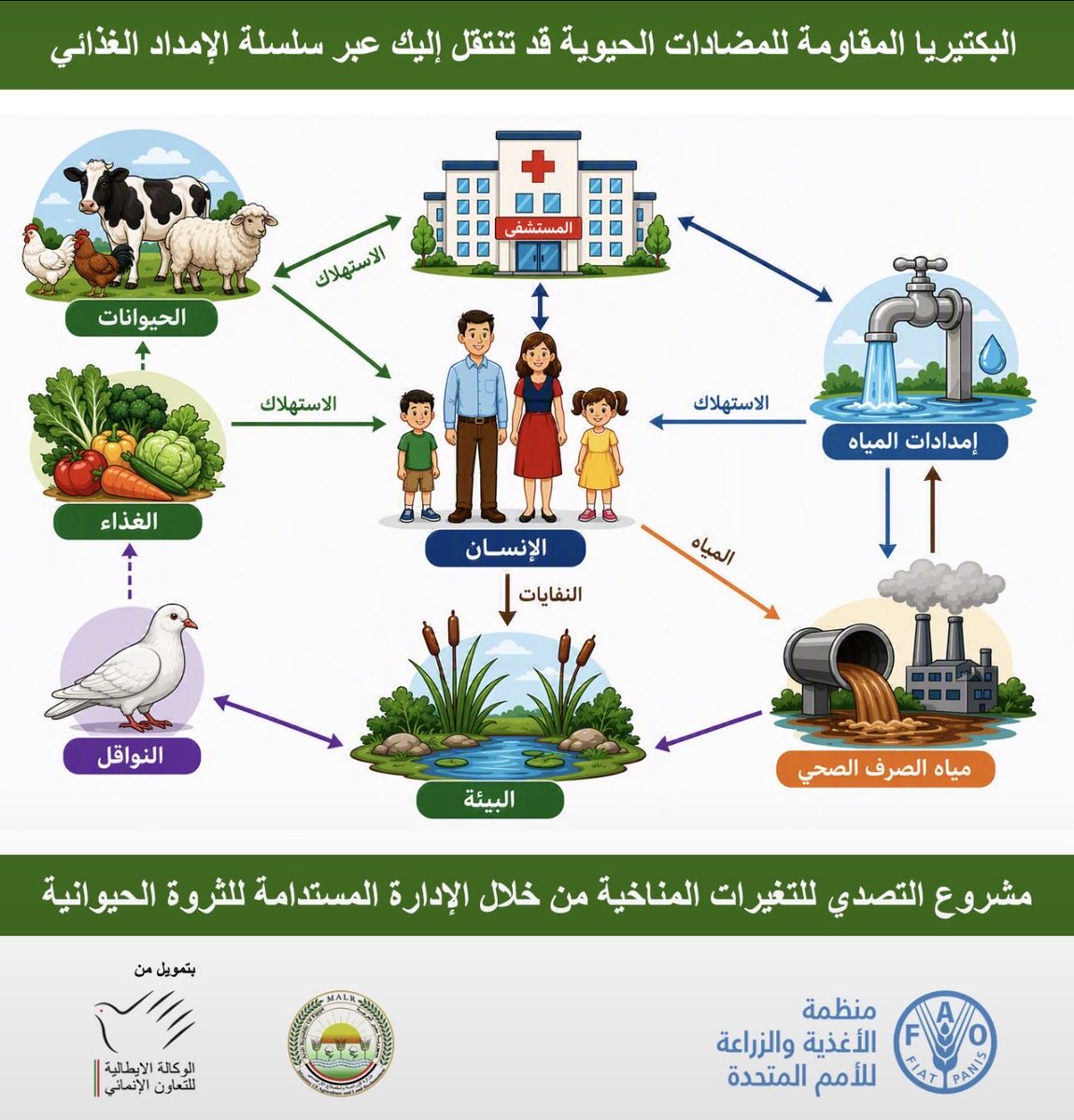 MariamMagdts's tweet photo. From Farm to Table: Antibiotic-Resistant Bacteria May Reach You Through the Food Supply Chain.Have you ever wondered about your food's journey before it reaches your table? The story isn't limited to fresh ingredients alone, but also includes an invisible microscopic world. https://t.co/erDDK0wo3I