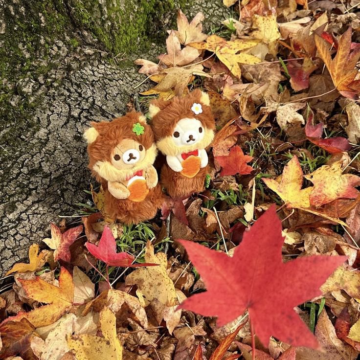 gojokesa_'s tweet photo. ༄˖°.🍂.ೃ࿔*:･ October accountability thread

ฅ⁠^⁠•⁠ﻌ⁠•⁠^⁠ฅ
#edtwt #anatwt #ricecaketwt #autumn https://t.co/5jiX9qI04V