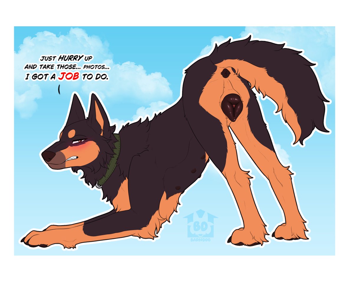 barndogart's tweet photo. Quiver has a job to go to, but we all know she secretly loves this. 🤭 https://t.co/LWVIRpsaQs