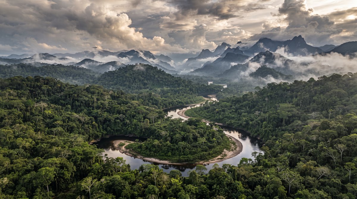 TF_Global's tweet photo. Forests are friends. Here’s some of the things trees did for you today:

🫁 𝐂𝐥𝐞𝐚𝐧𝐞𝐝 𝐲𝐨𝐮𝐫 𝐚𝐢𝐫. Forests remove pollutants from the air in your lungs. In the US alone, trees remove more than 20 million tonnes of air pollution a year, preventing hundreds of deaths and hundreds of thousands of asthma attacks.

🚰 𝐆𝐞𝐧𝐞𝐫𝐚𝐭𝐞𝐝 𝐲𝐨𝐮𝐫 𝐰𝐚𝐭𝐞𝐫. 75% of the world's accessible freshwater comes from forested watersheds.

🍽️ 𝐏𝐫𝐨𝐯𝐢𝐝𝐞𝐝 𝐲𝐨𝐮𝐫 𝐟𝐨𝐨𝐝. Pollinators enable more than $577 billion of the world's crop output every year, and many of them live in forests.

🌳 𝐏𝐫𝐨𝐭𝐞𝐜𝐭𝐞𝐝 𝐭𝐡𝐞 𝐝𝐢𝐫𝐭. Forests hold topsoil in place. Globally more than 24 billion tonnes of topsoil are lost every year, and degraded land already costs the world trillions a year in economic output.

🌧️ 𝐁𝐫𝐨𝐮𝐠𝐡𝐭 𝐭𝐡𝐞 𝐫𝐚𝐢𝐧. Forests pump water into the sky. A single tree in the Amazon moves hundreds of liters of water into the air each day, which falls on farms that feed the continent.

😅 𝐊𝐞𝐩𝐭 𝐲𝐨𝐮 𝐜𝐨𝐨𝐥. Healthy forest canopies cool the air beneath it by several degrees. Increasing tree cover to 30% in European cities would prevent about a third of heat-related deaths.

🌊 𝐌𝐚𝐝𝐞 𝐬𝐭𝐨𝐫𝐦 𝐰𝐚𝐭𝐞𝐫𝐬 𝐦𝐚𝐧𝐚𝐠𝐞𝐚𝐛𝐥𝐞. Mangroves alone prevent roughly $65 billion in flood damage a year by keeping storm surges at bay.

🌎 𝐒𝐥𝐨𝐰𝐞𝐝 𝐚𝐭𝐦𝐨𝐬𝐩𝐡𝐞𝐫𝐢𝐜 𝐜𝐚𝐫𝐛𝐨𝐧. Forest ecosystems stabilize the climate by regulating carbon dioxide. Forests absorb more than 7.6 billion tonnes of CO2 a year, around 1.5x what the US emits. 

🦜 𝐆𝐚𝐯𝐞 𝐰𝐢𝐥𝐝𝐥𝐢𝐟𝐞 𝐚 𝐡𝐨𝐦𝐞. 80% of land-based biodiversity lives in forests. Deforestation is driving extinction risk for around a million species.

🧬 𝐋𝐞𝐭 𝐲𝐨𝐮 𝐞𝐱𝐢𝐬𝐭 𝐚𝐭 𝐚𝐥𝐥. Forest branches shaped the way your hands grip. Navigating trees and the ripeness of forest foods kept your eyes forward and seeing full color. Primates spent 60 million years in trees. Your body was designed for forests.

Consider hugging a tree today. They’ve been hugging you back. 

#treeshugback #nature #forests #science