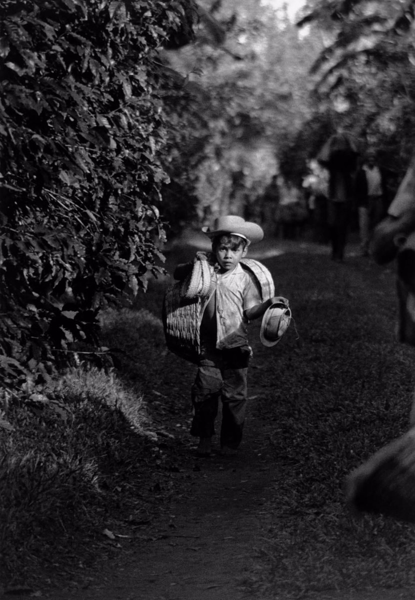 histohonduras's tweet photo. Hoy, en el Día Internacional del Café, recordamos que en Honduras cultivamos y consumimos esta deliciosa bebida desde hace más de 250 años.

¿Qué opinan de esta imagen? ¿Qué recuerdos les viene a su mente?
Coméntenos. https://t.co/pnv0IWu0gM