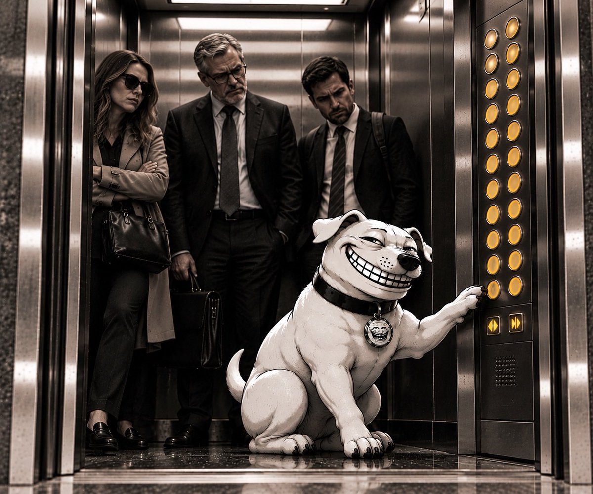 le_trolldog's tweet photo. if u get in u stay for the whole ride https://t.co/76j0tFUZ3e