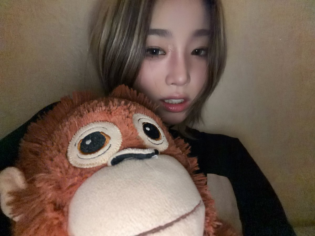 PosseBR's tweet photo. Atualização da #SUNHYE no fromm!

#YOUNGPOSSE #영파씨 #ヤングパッシ https://t.co/WVD6Af9oOu