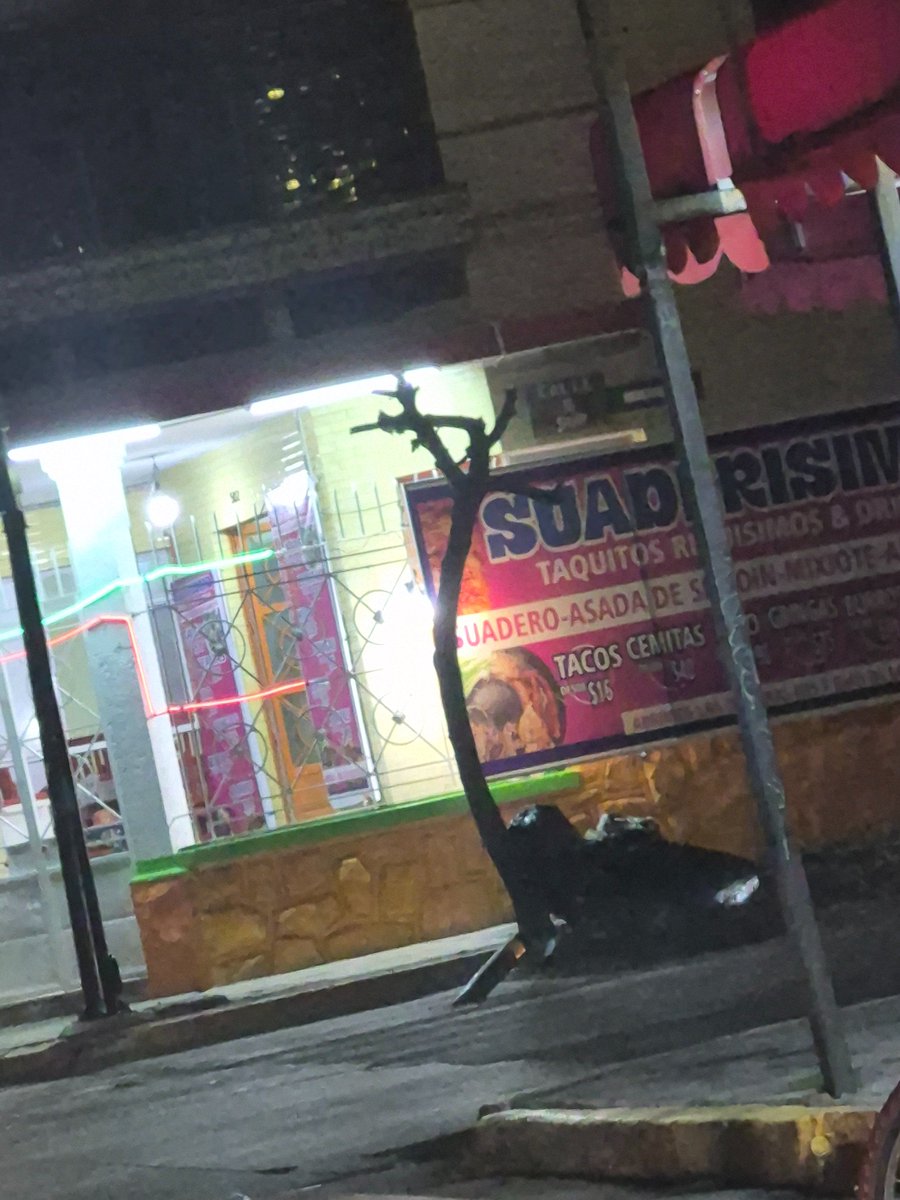 BereZern's tweet photo. Así estaba el arbolito para comienzos de año y así acabó esta semana. Imagino que @PueblaAyto y su Secretaría de Medio Ambiente harán algo al respecto.  Eso que hicieron no fue poda, nomas les falto echarle gasolina al pobre árbol. https://t.co/yONcntlRYK
