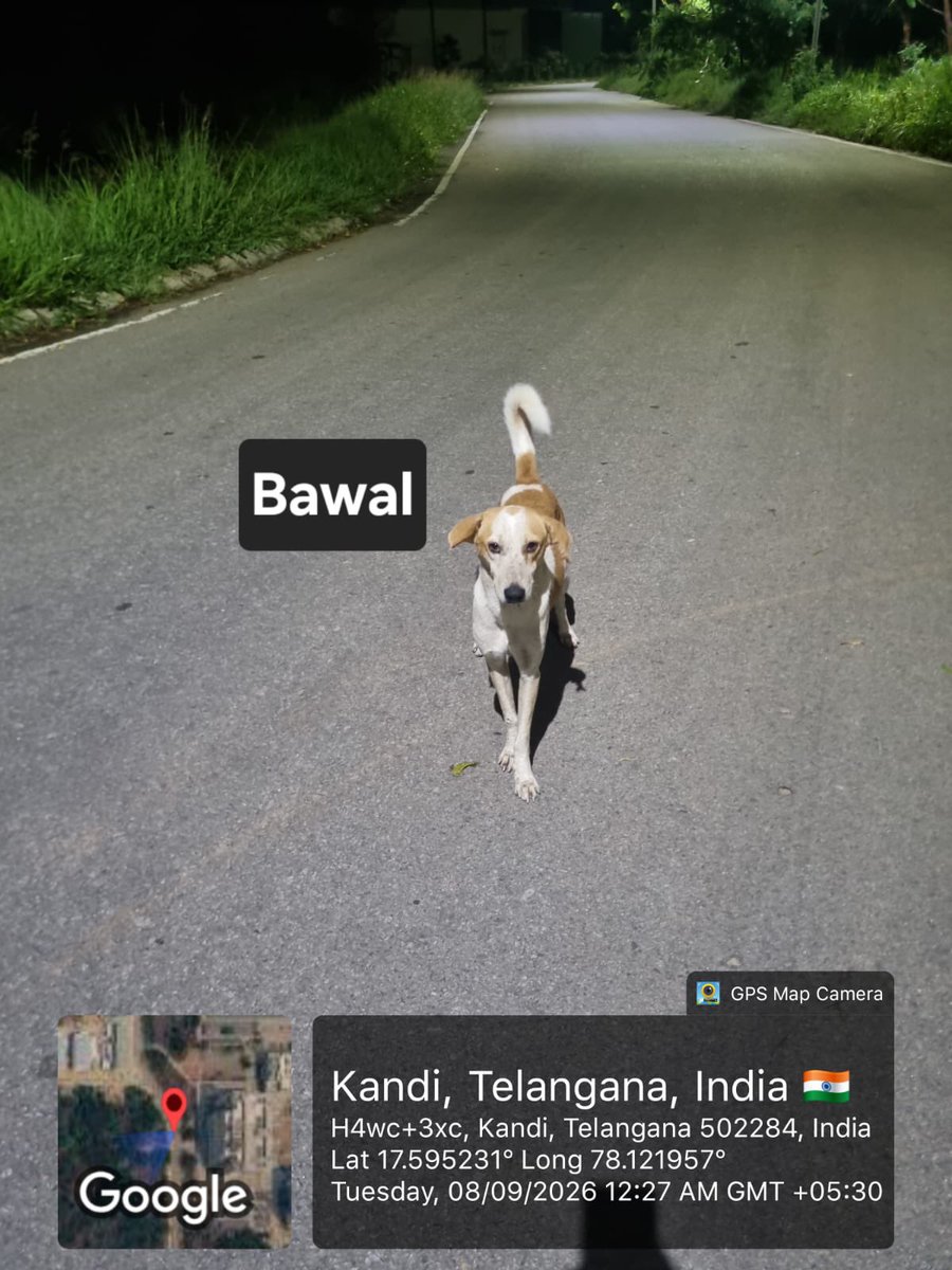 pawsunmute's tweet photo. 🚨 IIT HYDERABAD: THIS REQUIRES IMMEDIATE INVESTIGATION.

A community dog was reportedly seen limping and bleeding. Photographs & video are available. The dog was subsequently found dead, with its body reportedly dumped behind B Block.

The critical questions are now evidentiary:

Who injured the dog? Was veterinary treatment sought? Who handled, removed or transported the animal? Under whose authority? What records exist?

@IITHyderabad MUST PRESERVE CCTV, security logs, access records and all relevant evidence immediately.

@TelanganaCOPs @TelanganaDGP — take cognisance, secure the evidence and investigate the circumstances of the injury, death and disposal of the body.

@AwbiBallabhgarh @PetaIndia — please take cognisance and seek an urgent report.

Any action concerning community dogs must comply with the applicable animal-welfare framework. If unlawful cruelty or killing is established, appropriate legal action must follow.

Preserve the evidence. Establish the facts. Fix responsibility.

#IITHyderabad #CommunityDogs #AnimalWelfare #AnimalCruelty #JusticeForAnimals #Accountability