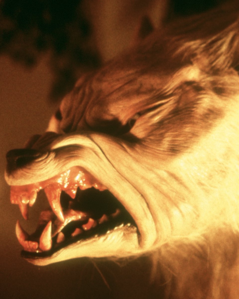 LionsgateHorror's tweet photo. September 30                               October 1 https://t.co/8MfdLwU0Bh