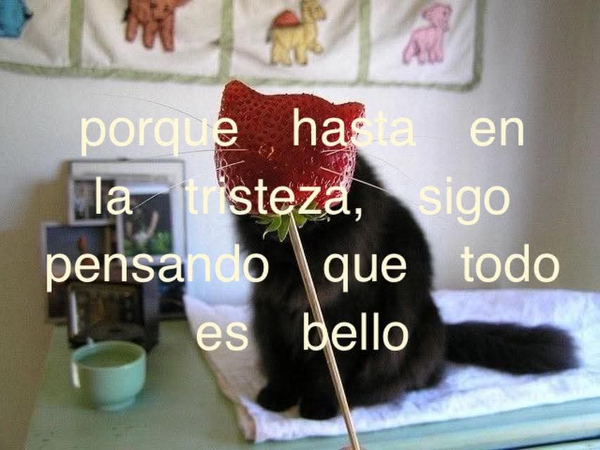 ojoscol0rsol's tweet photo. https://t.co/6xYLn0tpfN